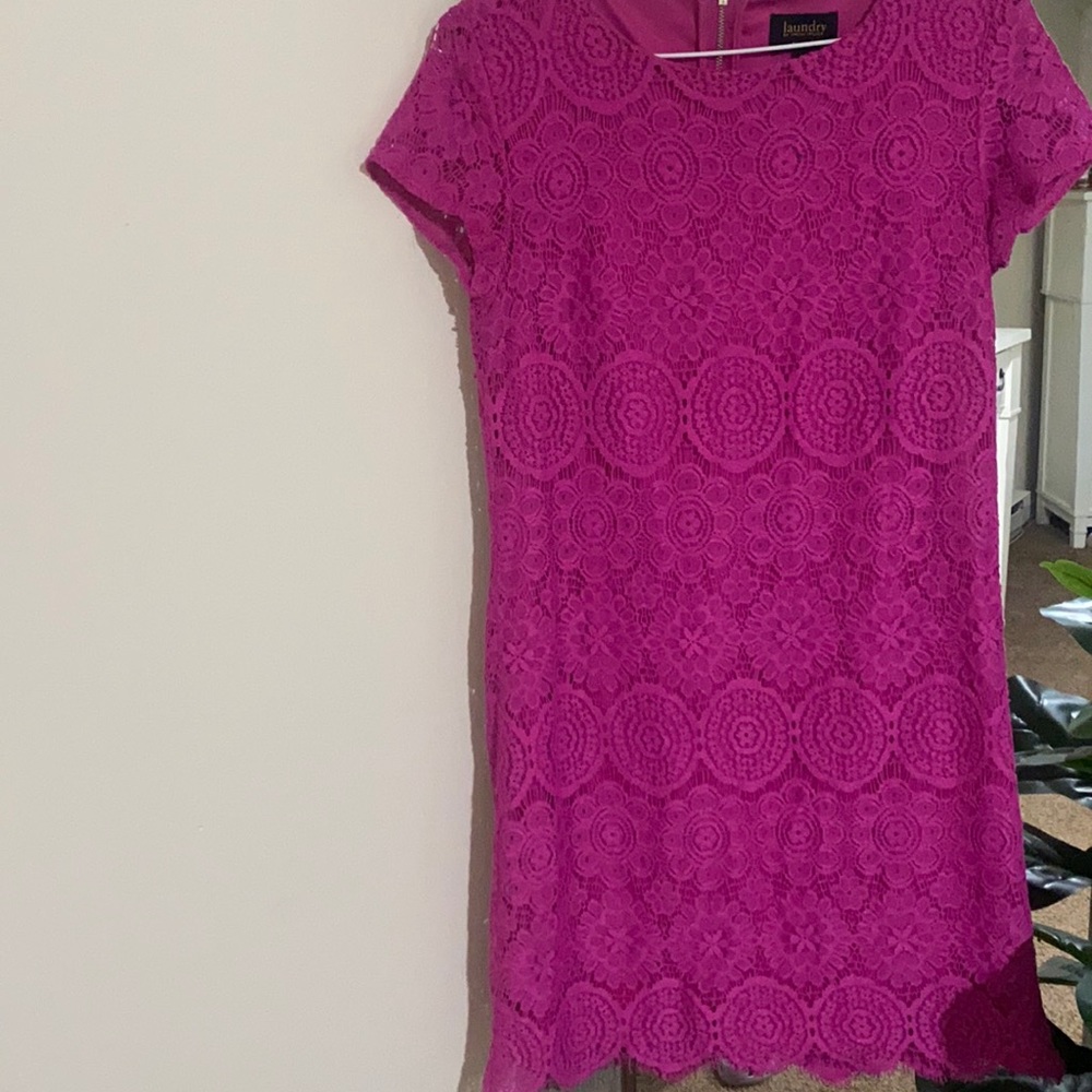 Gorgeous Laundry by Shelli Segal short sleeve lace shift dress 6
